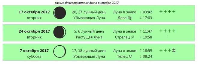Лучшие сроки для заготовок: когда солить капусту в ноябре и как это правильно сделать