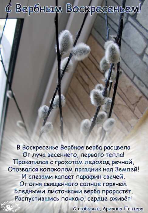 Как правильно выбрать вербу, что надо учитывать