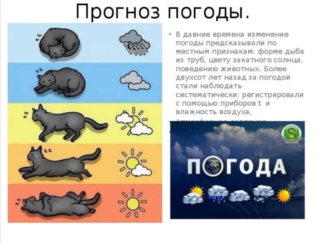Какая будет весна 2023 года: ранняя или поздняя, народные приметы и прогнозы, особенности для отдельных регионов