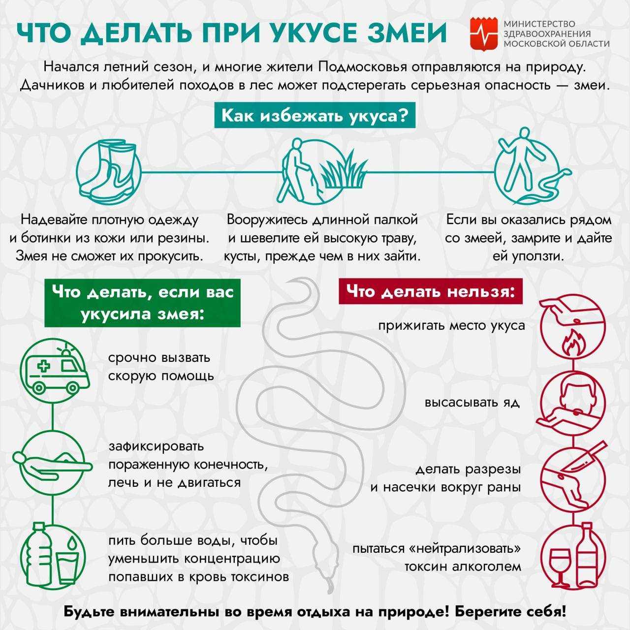 Гадюки в подмосковье в 2020 году: жителей столичного региона предупредили об активности гадюк, опасные районы на карте