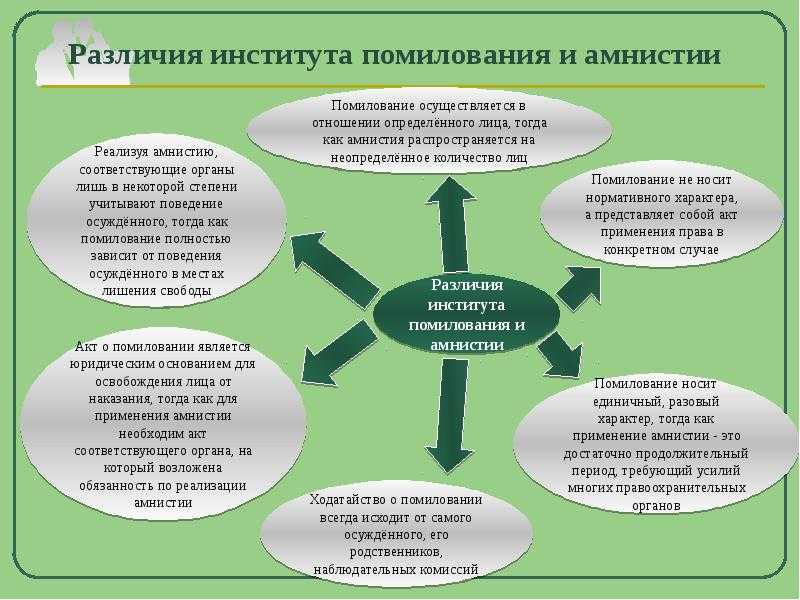 Приняла ли госдума законопроект об уголовной амнистии после 15 января 2023 года: кто из заключенных выйдет на свободу – свежие новости