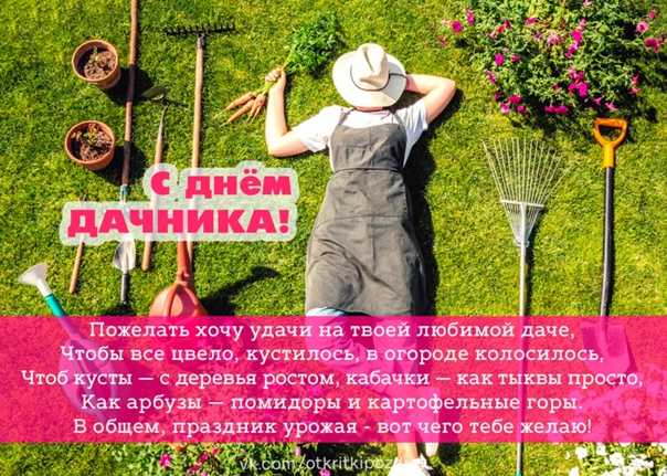 Дождь предсказаний: какие приметы о погоде вымысел, а какие правда