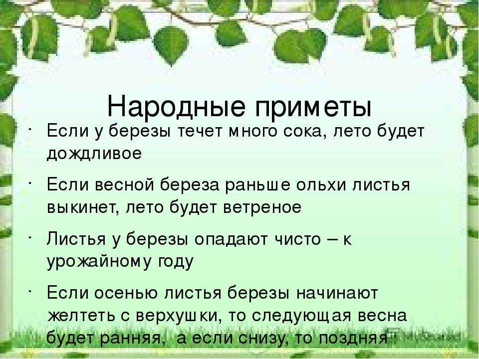Весна, какой ты будешь в 2023 году: народные приметы и прогнозы синоптиков - донецкий тормозок