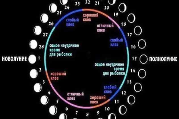 Какие дни благоприятны для рыбалки?