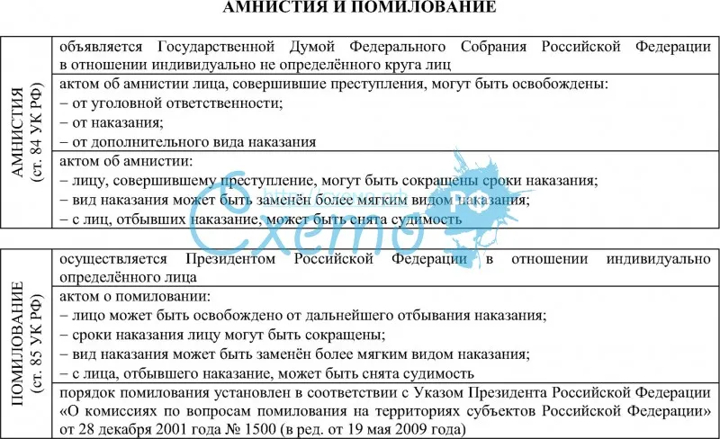 амнистии это что простыми словами