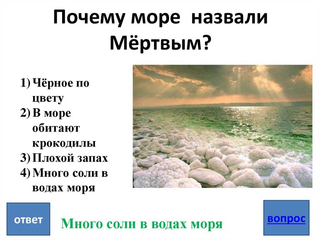 Почему может погибнуть черное море