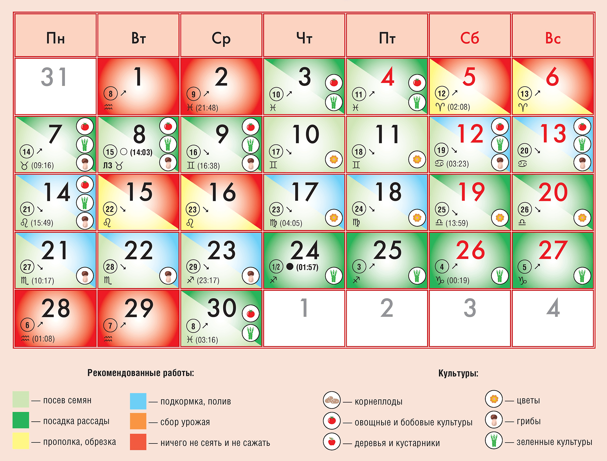 Новолуние в ноябре 2021: точные время и дата, что можно делать