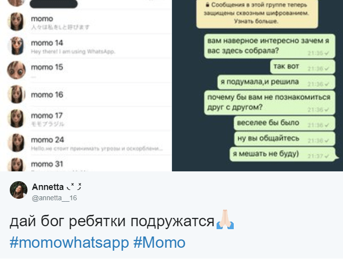 Кто такая момо и какой у нее номер whatsapp?