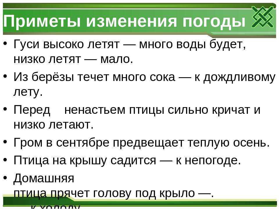Является ли 2019 годом вдовы или вдовца