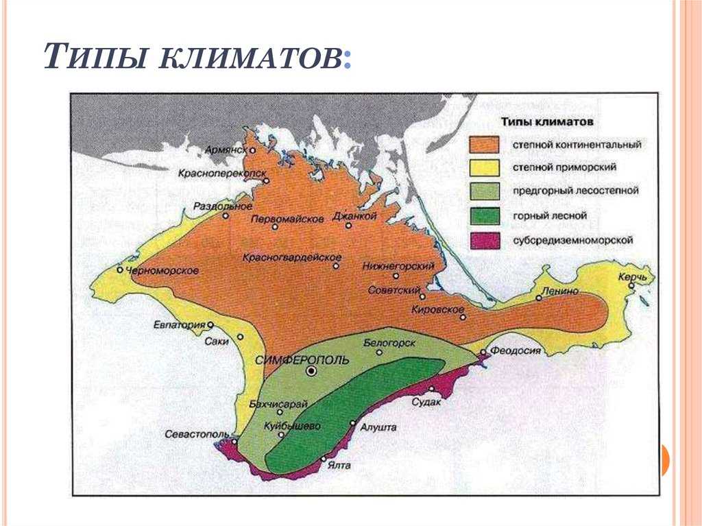 Будет ли тесно в крыму этим летом?