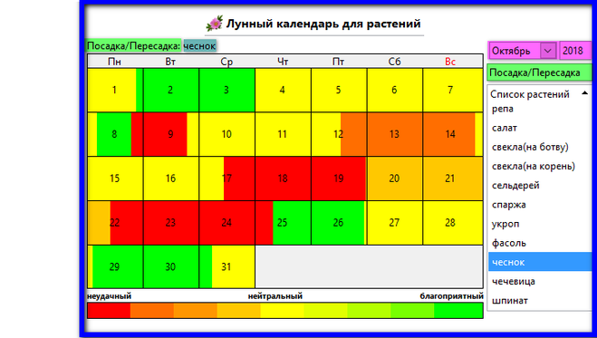 Посадка чеснока в октябре 2023 года по лунному календарю: благоприятные дни