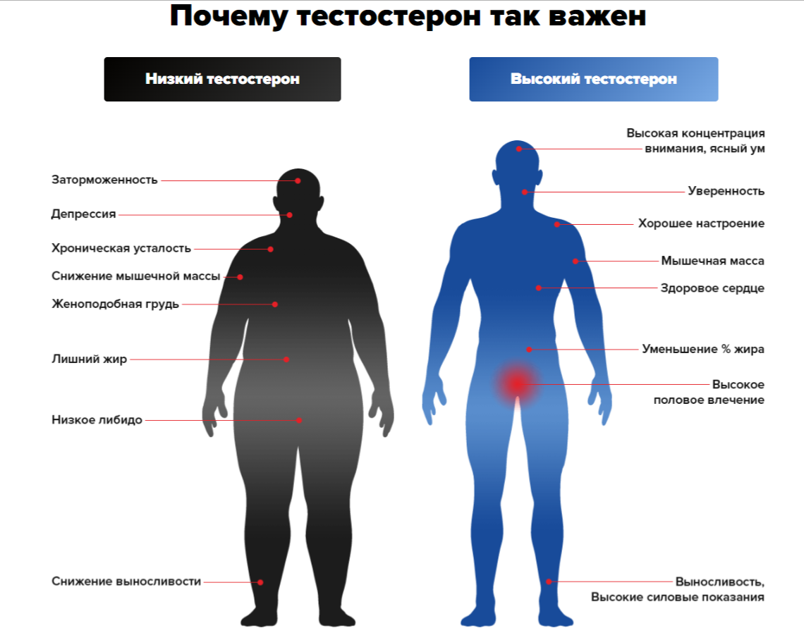 Кто такие золотари и чем они занимались. кто такие золотари