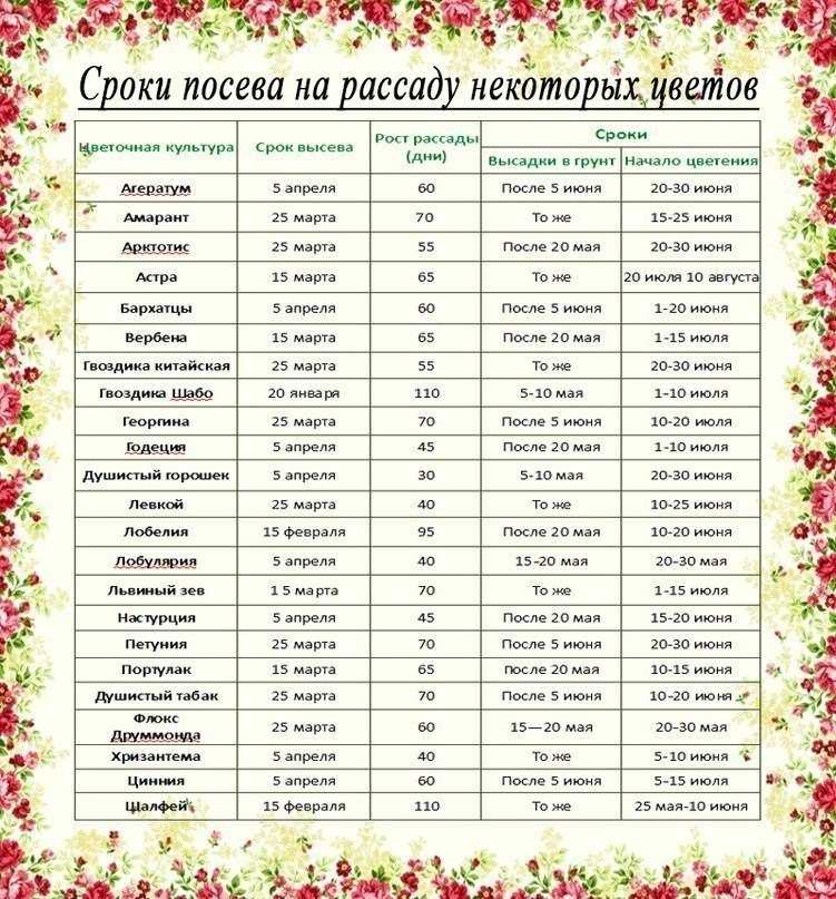 Благоприятные дни для садовода и огородника на май 2021 года: календарь, что сажать