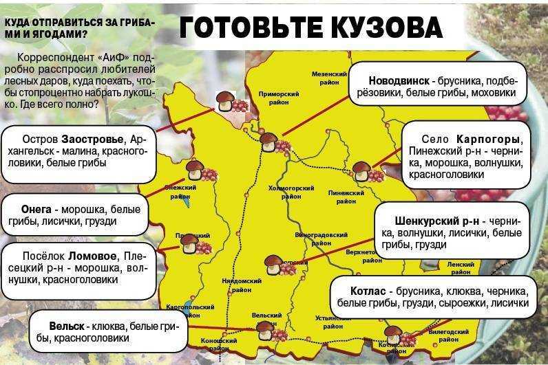 Лучшие грибные места московской области на карте