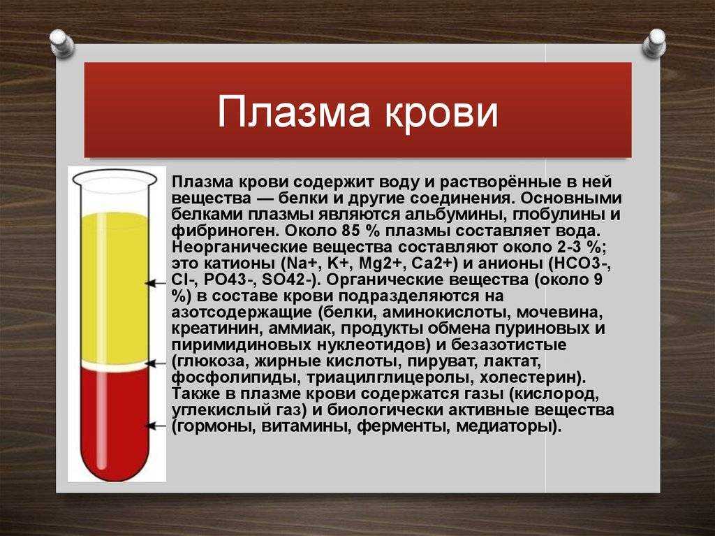 Как устроено донорство крови и костного мозга в россии | рбк тренды
