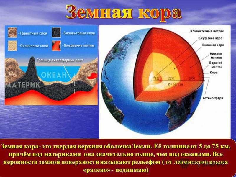 Кто из перечисленных организмов не имеет мантии. Земная кора. Слои земной коры. Земная корона. Строение коры земли.