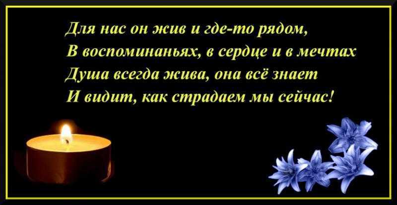 Марина куклина - актриса: биография, личная жизнь, главные роли (фото)