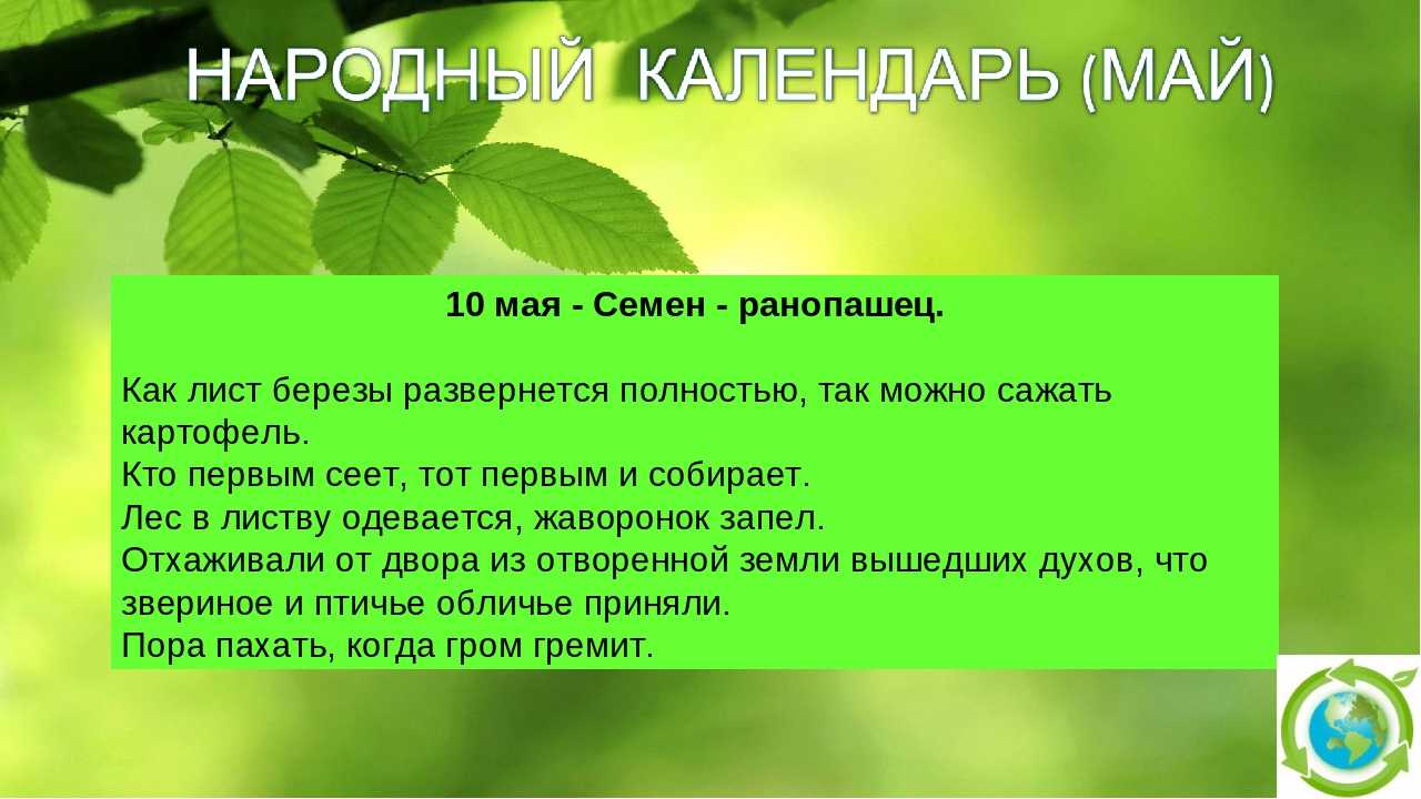 13 декабря 2022 года, вторник: день святого апостола андрея первозванного, день медведя, 51 год фильму «джентльмены удачи» / ежедневник / журнал calend.ru