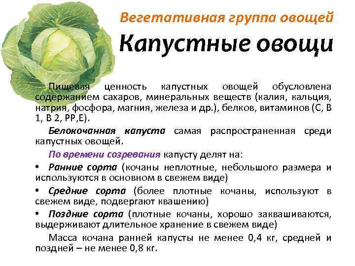 Какие продукты полезны при акне, а какие вызывают образование угрей