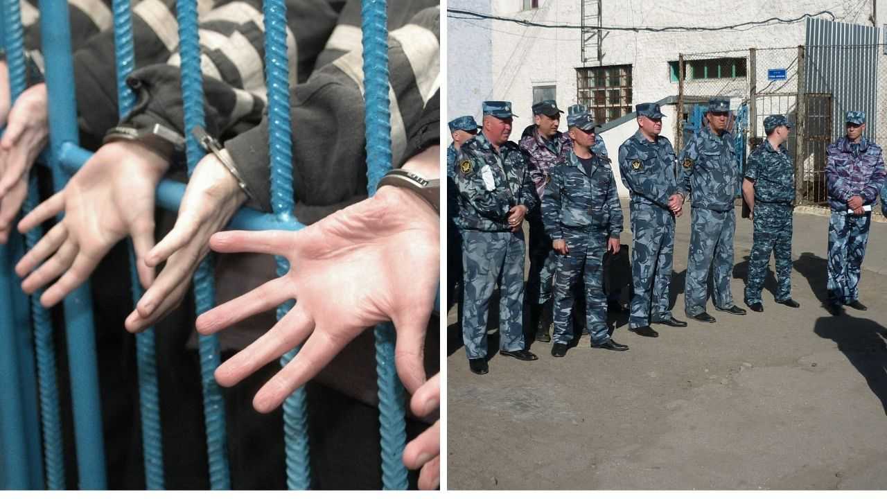 «будет, но не точно!»: одобрит ли путин уголовную амнистию в россии в сентябре 2022 года – последние новости на сегодня