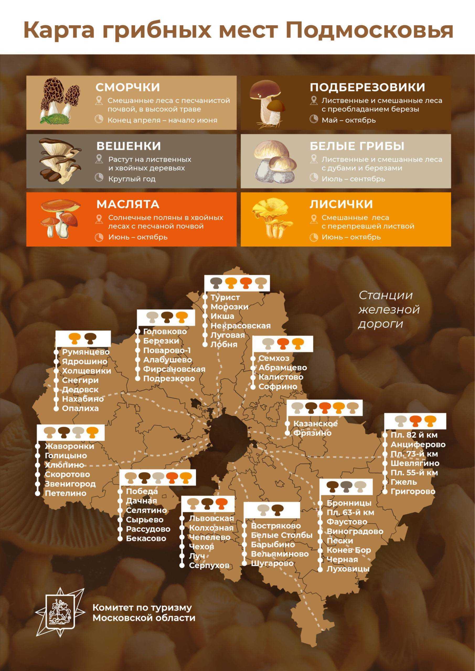 Календарь грибов