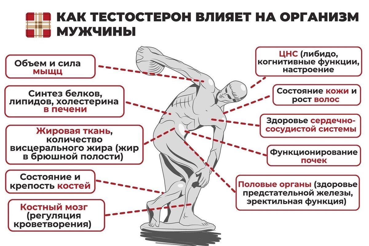 Какие профессии мужчин на руси считались позорными - тестостерон
