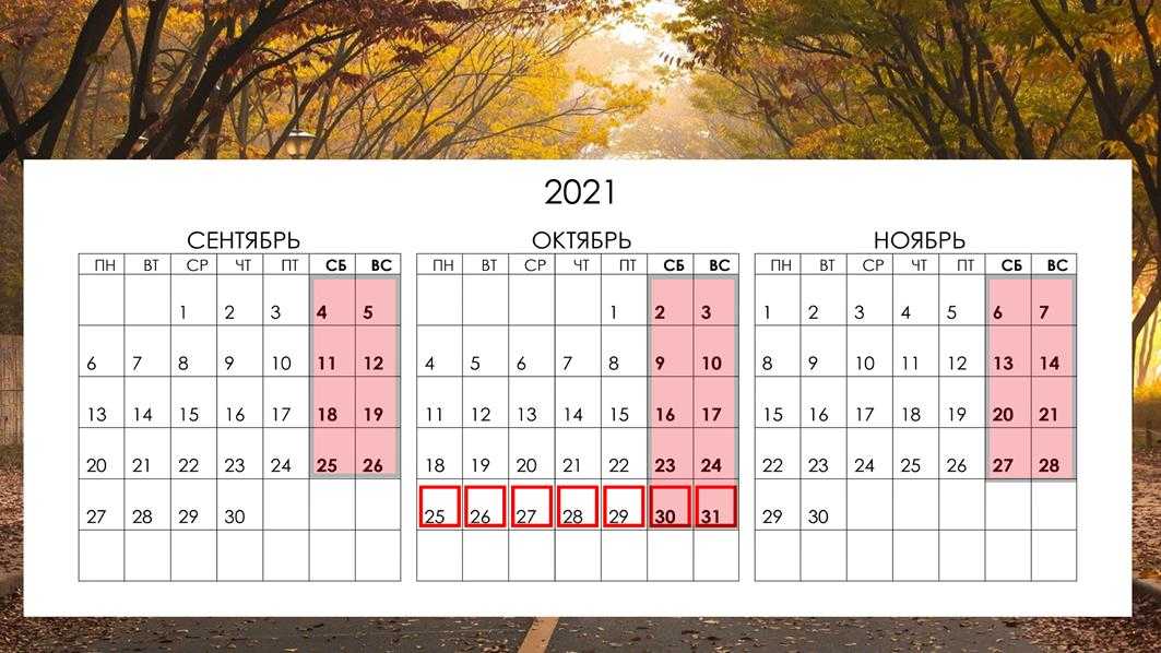 Когда каникулы в школе в 2020-2021 учебном году?