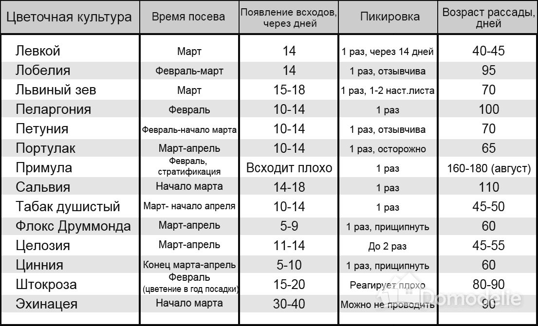 Что сеять в марте на рассаду: полный список цветов и овощей