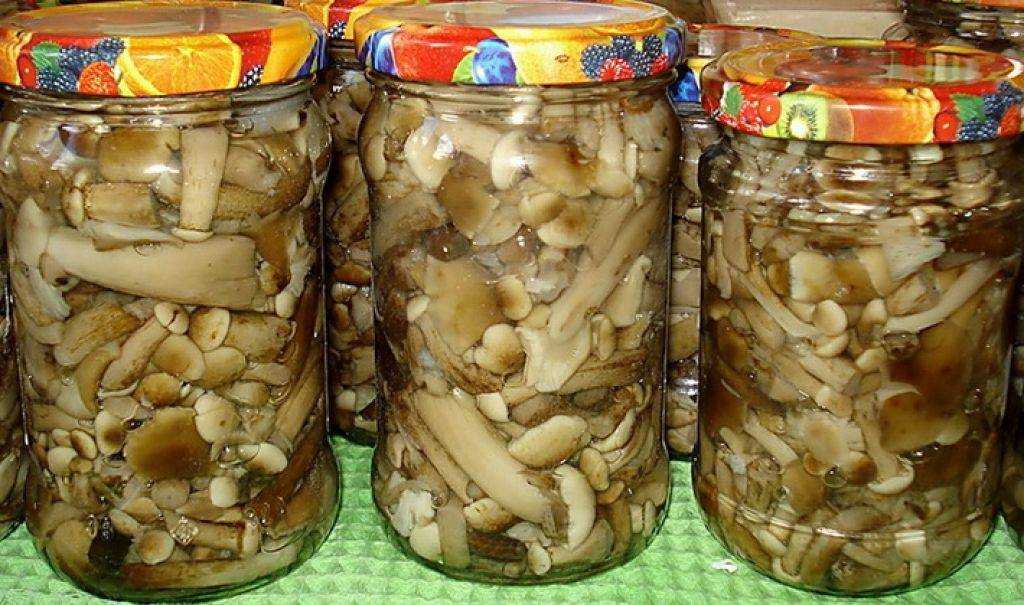 Заготавливаем грибы на зиму - 15 очень вкусных рецептов