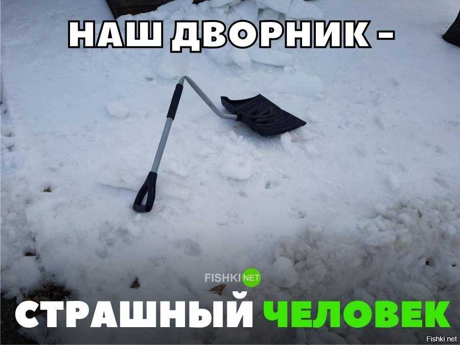 Владимир кара-мурза: биография и личная жизнь, жена, карьера и успех, фото