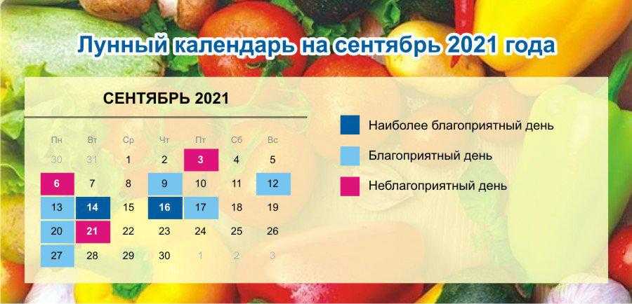 Когда новолуние в сентябре 2018: загадать желание, узнать судьбу по приметам