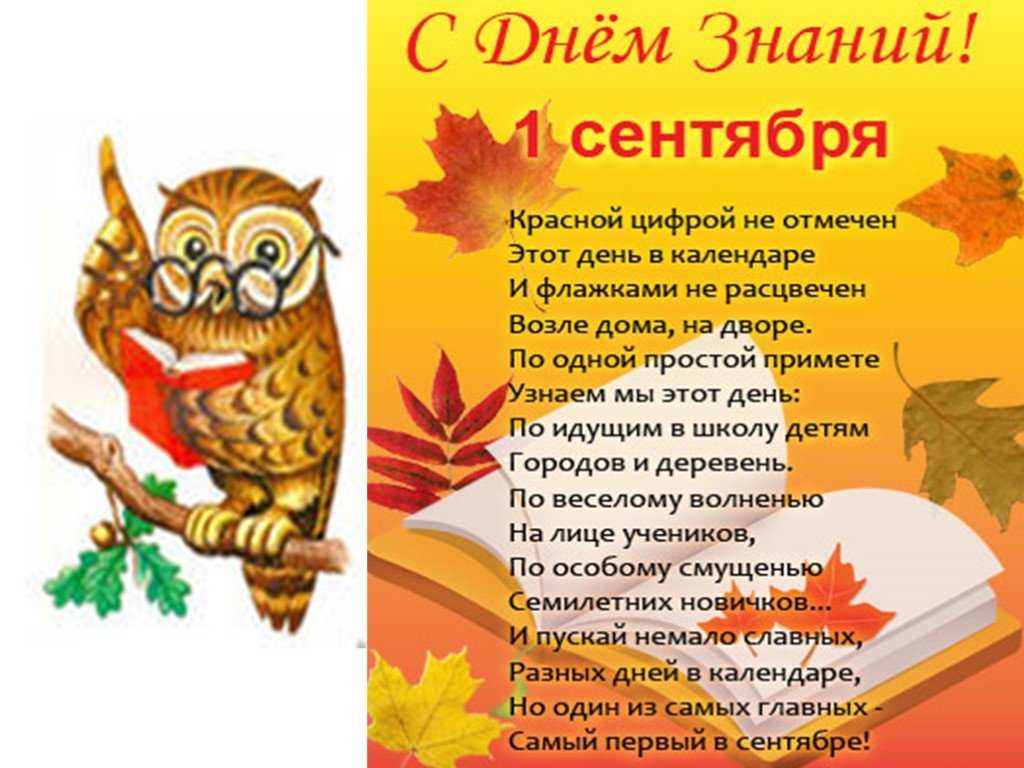Прикольные поздравления с днем знаний: картинки и стихи, видео и сценарий мероприятия