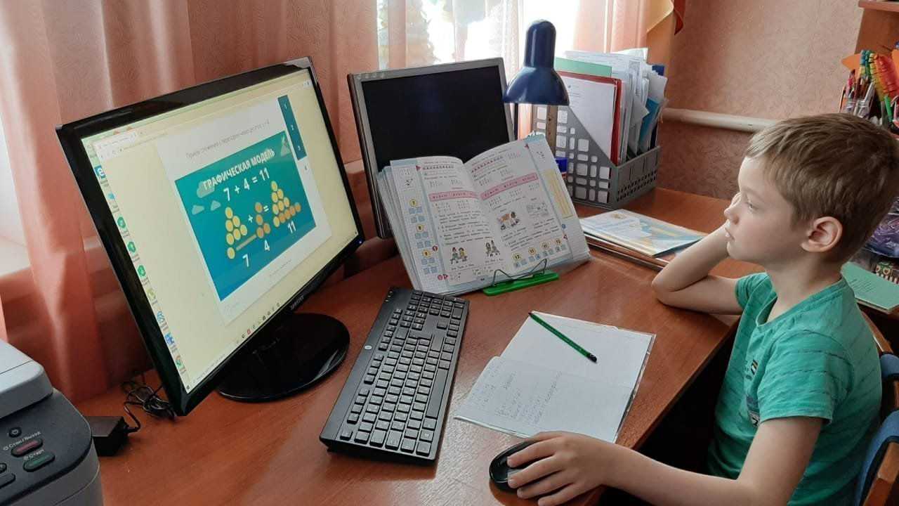 Введение дистанта в школах, вузах и колледжах с 8 ноября 2021 в регионах рф: что ждать? переведут ли всех на удаленку после осенних каникул?