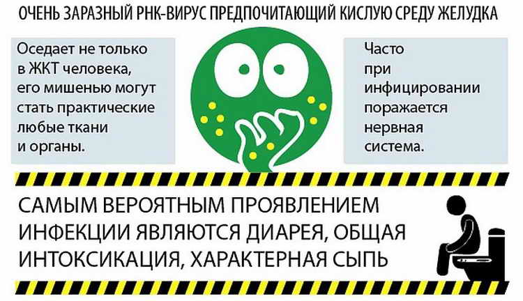 Коксаки