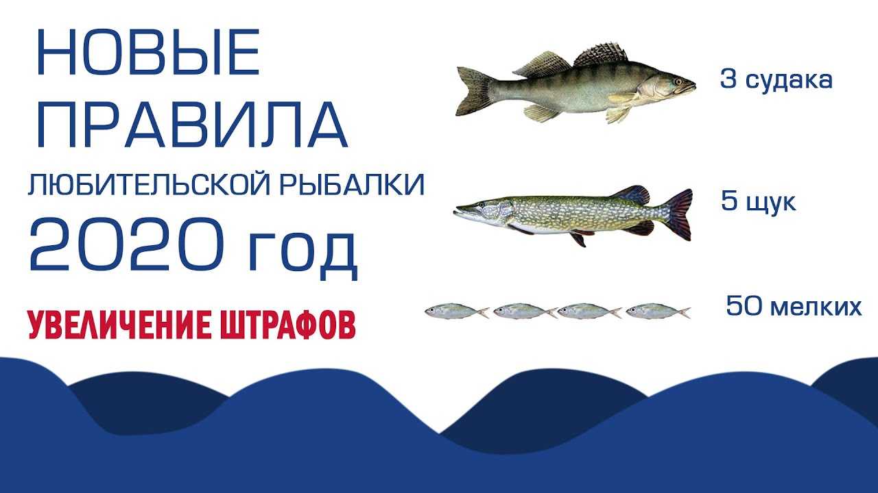 Главное, "берега не попутать". инпектор запретил рыбачить с острова в нерест. прав ли он | подслушано секреты рыболова | дзен