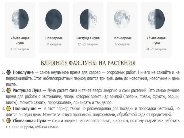 Секреты лунного календаря: все о фазах луны для планирования дел