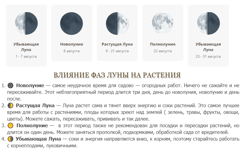 Секреты лунного календаря: все о новолунии, его влиянии, ритуалах и исполнении желаний :: инфониак