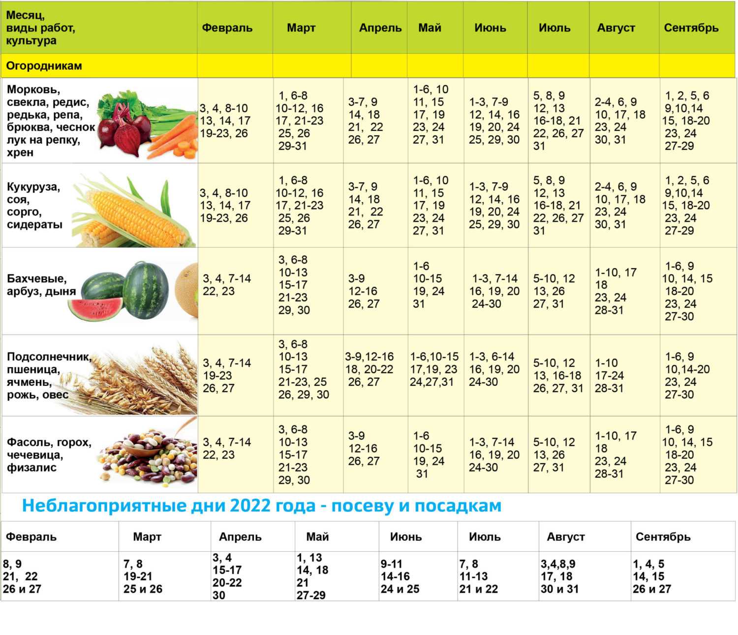 Календарь посадок на 2023 год. Календарь посева семян. Лунный календарь для посева семян. Лунный календарь для посадки семян. Лунный календарь для посадки моркови.