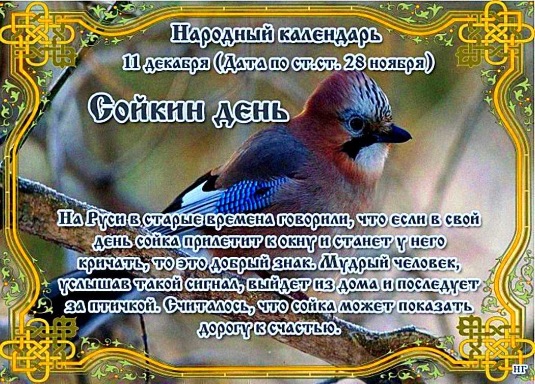 Приметы на 12 ноября 2022 года: что категорически запрещается делать в этот день