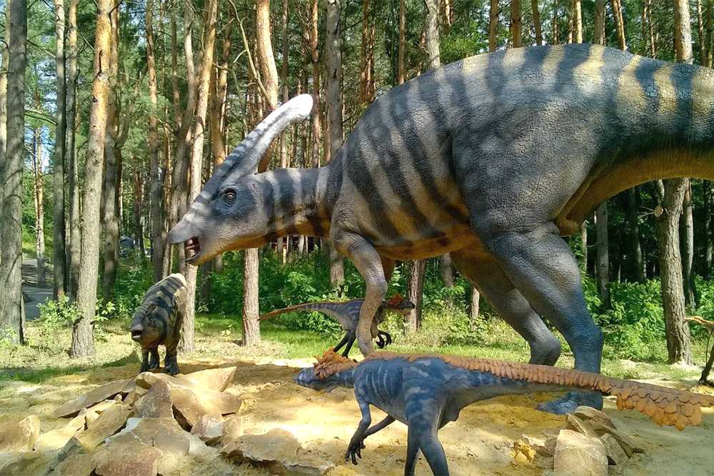 Зоопарк и динопарк