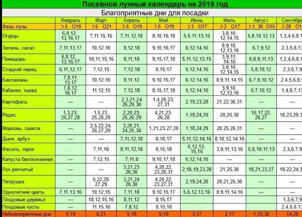 Посевной календарь на 2023 год для подмосковья