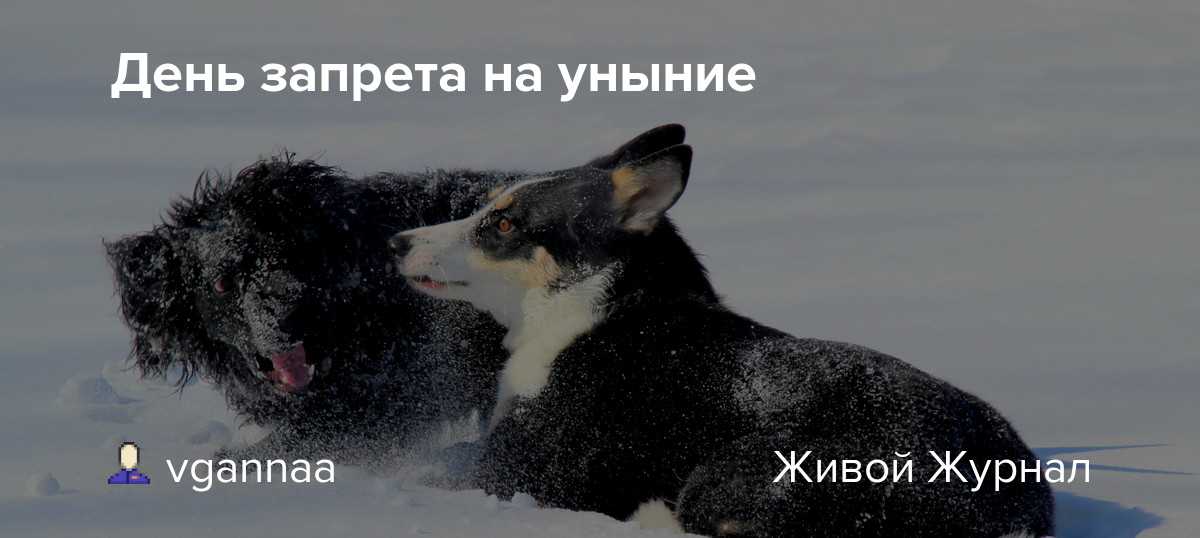 Какой сегодня праздник: 12 марта 2023 года