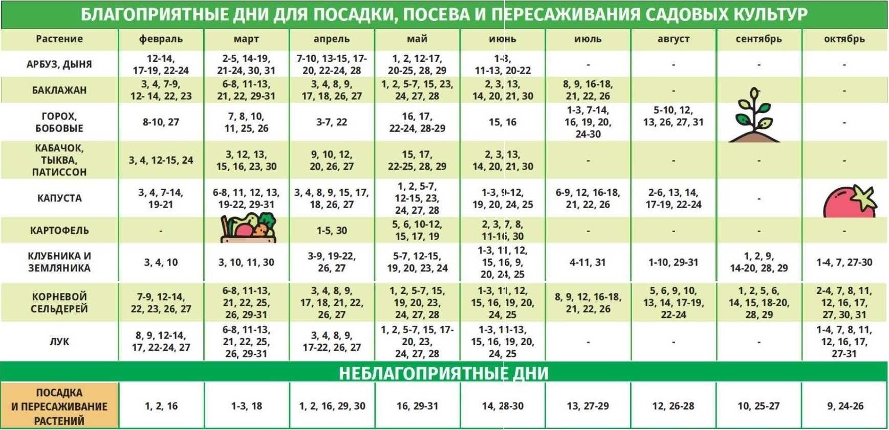Лунный календарь комнатных растений на 2023 год