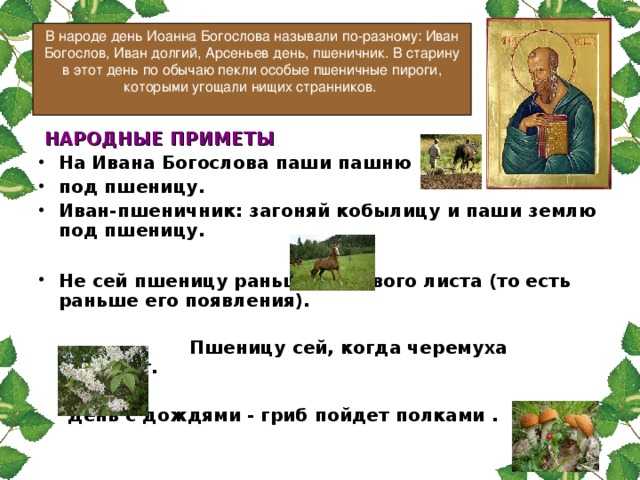 Что ни в коем случае нельзя делать в день ивана богослова 21 мая 2021. народные приметы что ни в коем случае нельзя делать в ден | культ | дзен