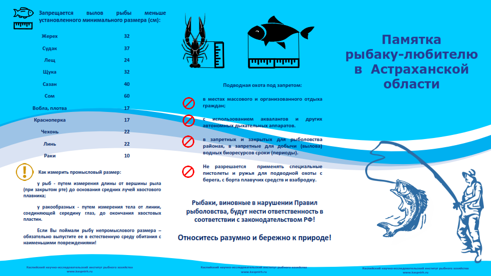 Сроки лова. Памятка для рыбаков любителей в Астраханской области. Памятка для рыболовов любителей. Памятка рыбаку-любителю в Астраханской. Памятки для рыбаков.