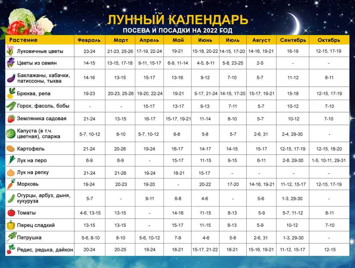 Озимый чеснок можно сажать по лунному календарю - 1rre