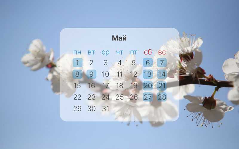 Майские 2023 будут длинными или нет: законопроект о праздниках внесен, но будет ли принят? - новости сегодня