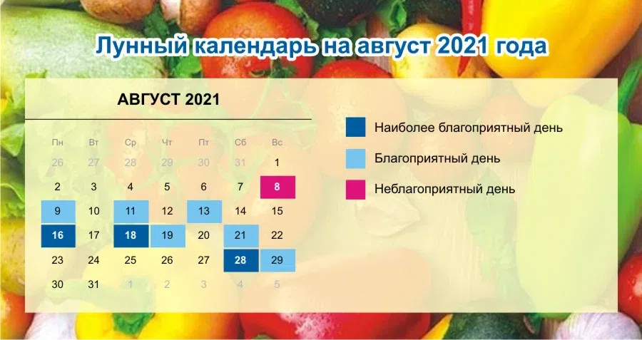Фазы луны в августе 2023 года: новолуние, полнолуние, убывающая и растущая луна