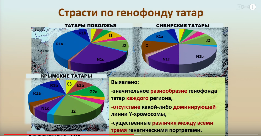 Монголо-татарские гены: есть ли они в русском народе — кириллица — энциклопедия русской жизни