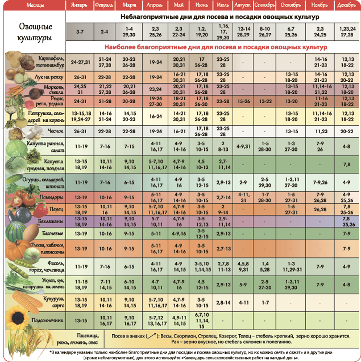Лунный календарь на май посевной для овощей 2021. Календарь посева семян на рассаду. Таблица по срокам посева семян на рассаду. Благоприятные дни для посадки рассады.